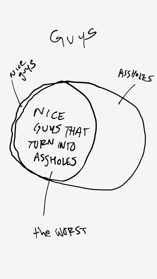 One panel comic. Caption. Guys. There is a sort of venn diagram. The circles are not proportional. There is a small sliver on the left side with a line that says Nice Guys. There is a bigger oblong circle that says Assholes. The overlapping area says Nice Guys That Turn Into Assholes. From that last area, a caption pointing to it says The Worst. Additional commentary starting now.